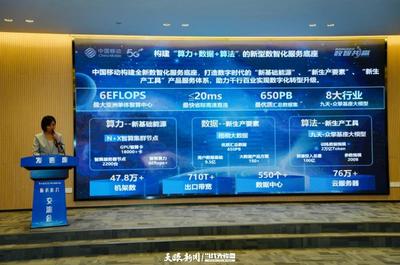 深化合作，共筑数智未来 贵安新区“2024年数据中心服务”推介交流会圆满举行