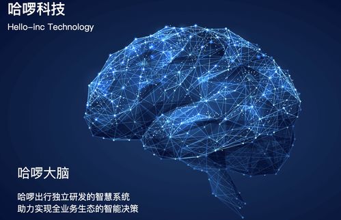 哈啰出行 以AI与数字技术驱动，引领共享出行智慧运营新时代